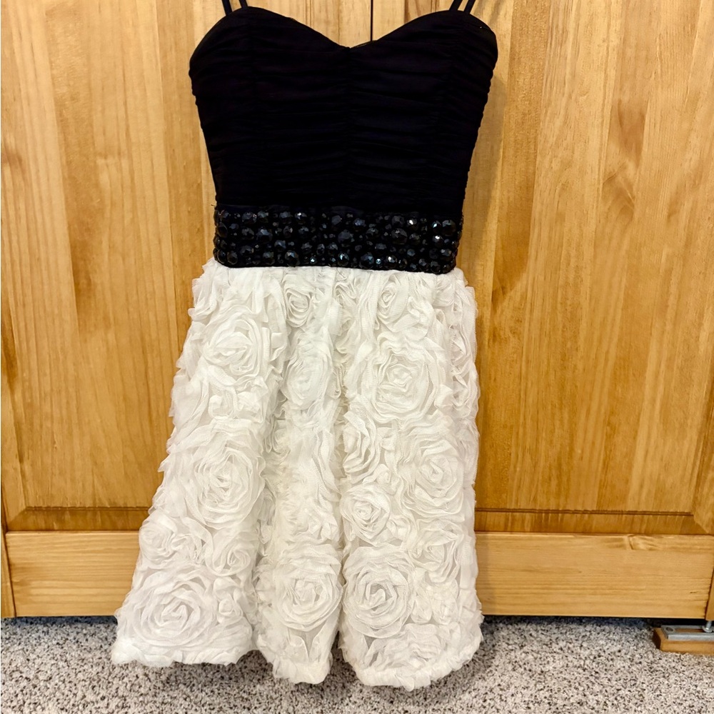 Elegant Black and White  Dress